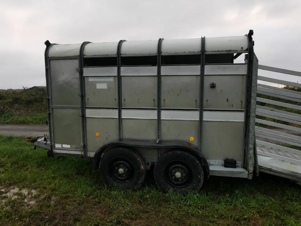 Ifor Williams 10 X 6 Cattle Trailer - Image 3