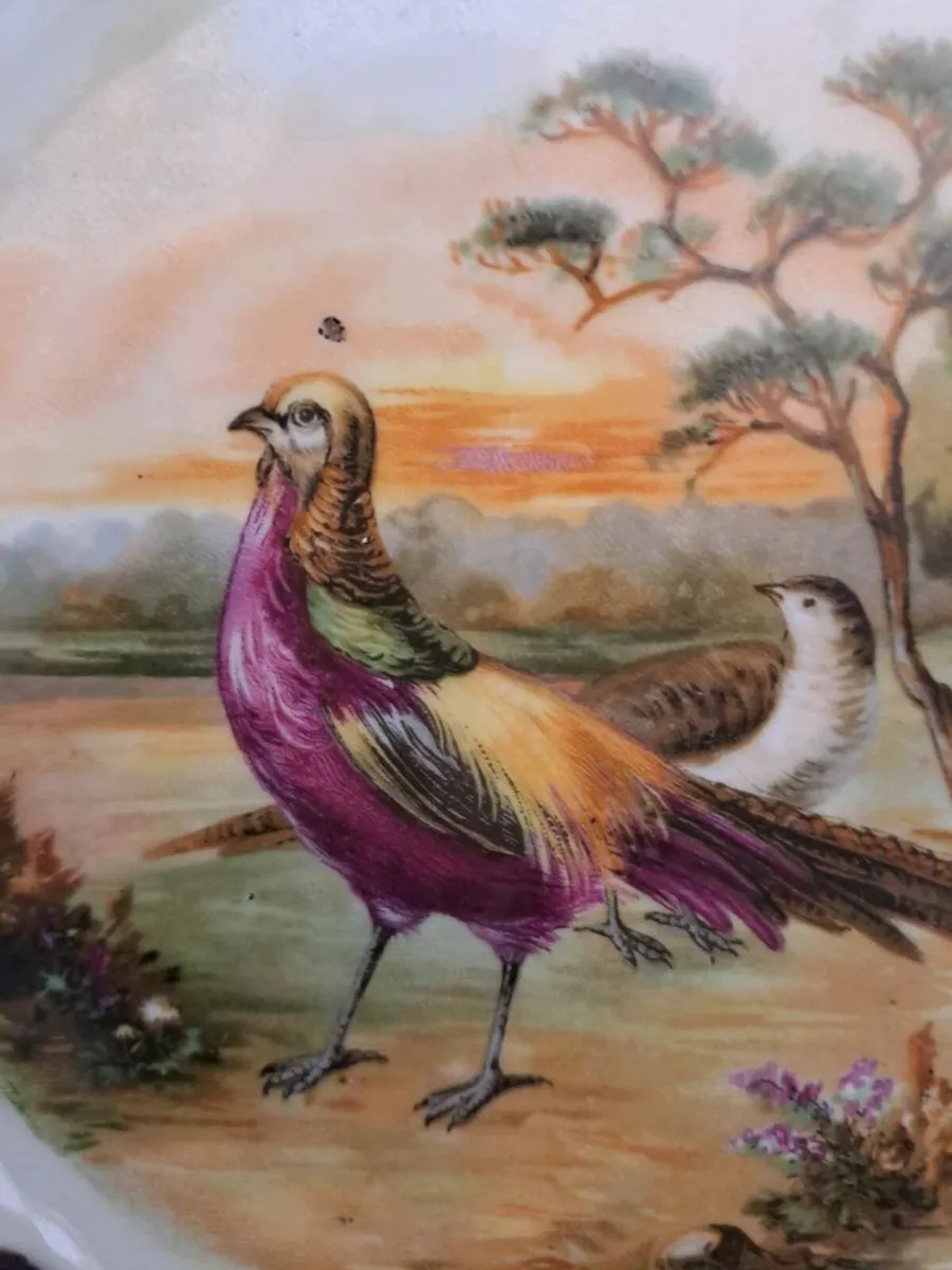 Vintage Decorative Wall Plate – Pheasant Scene - Image 3