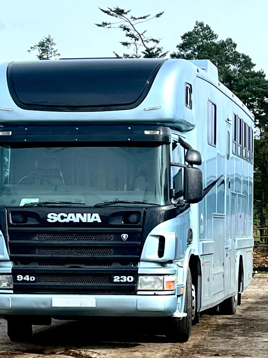 Scania horse , sleeps 6 - Image 1