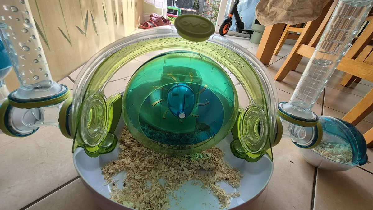 Hamster's house - Image 3