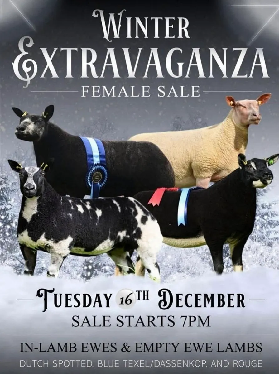 New date -Winter Extravaganza Female Sale - Image 1