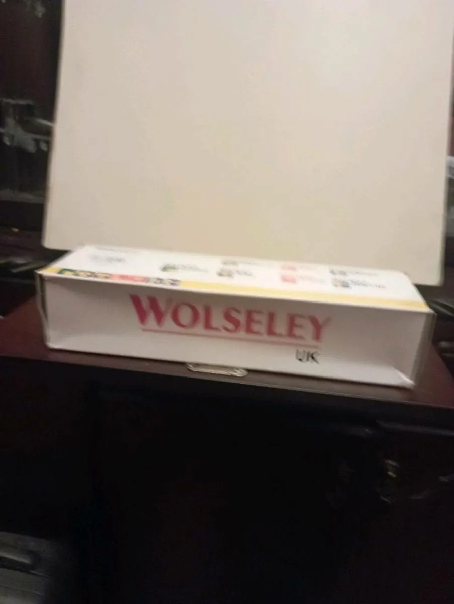 CORGI WOLSELEY DIE - CAST TRUCK - Image 3