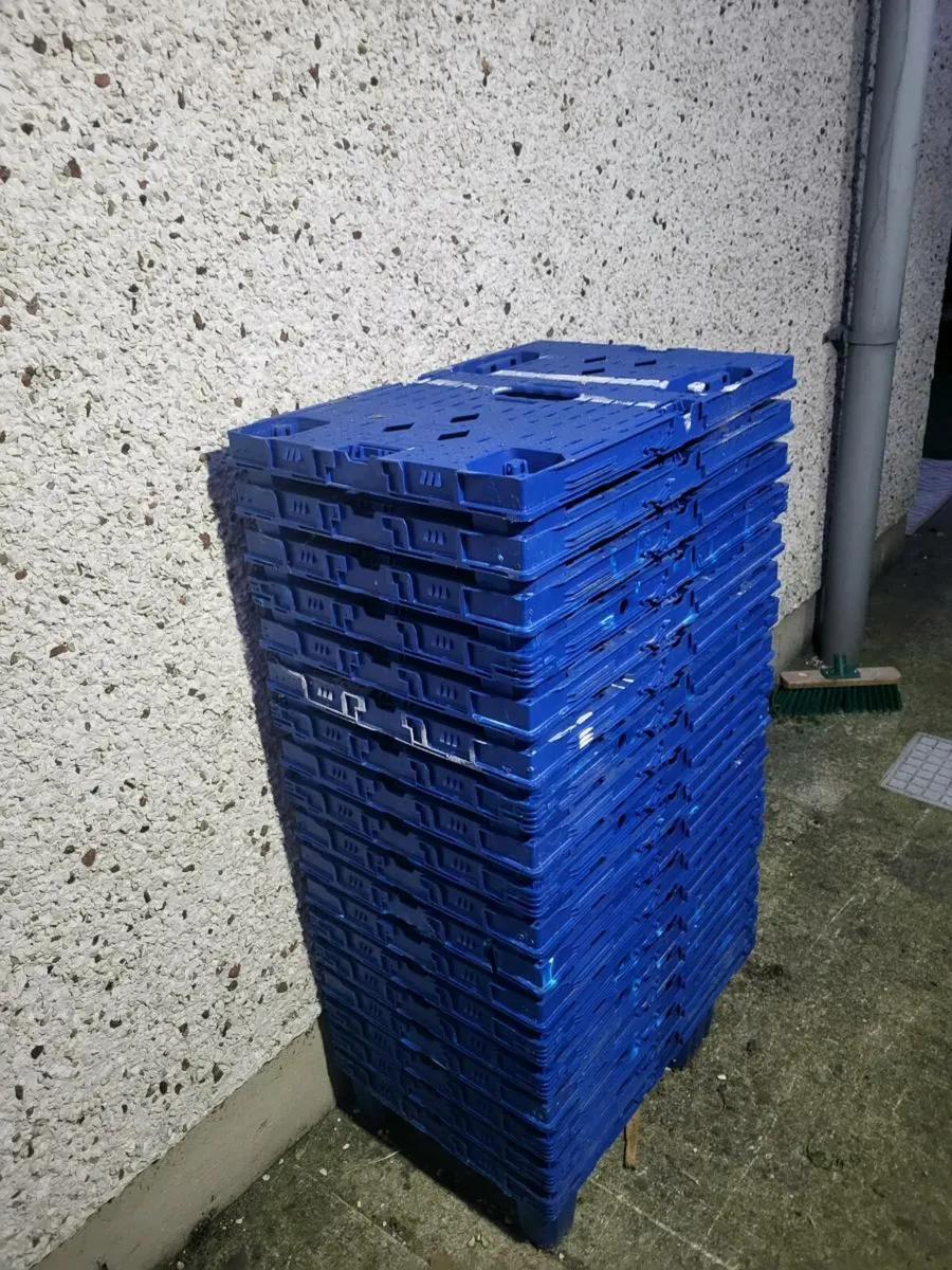 Plastic pallets - Image 1