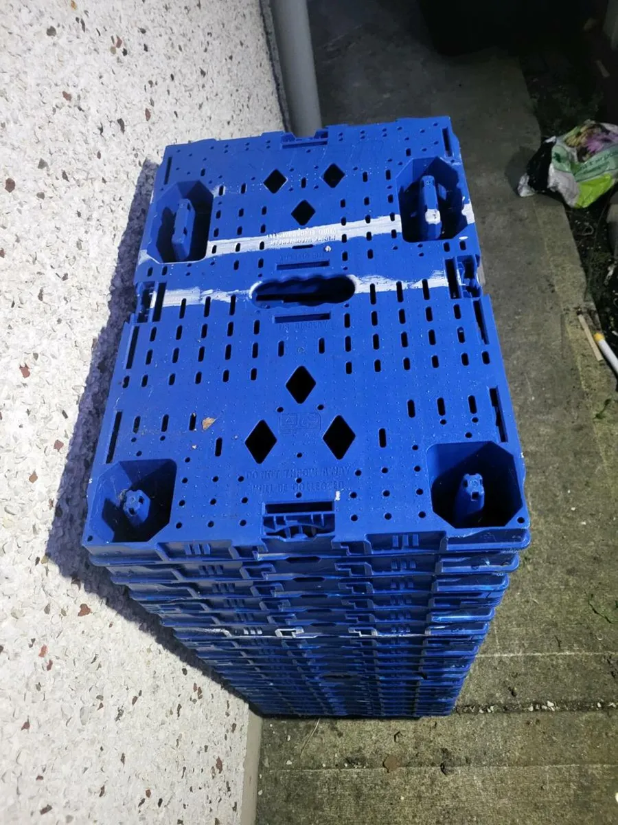 Plastic pallets - Image 2