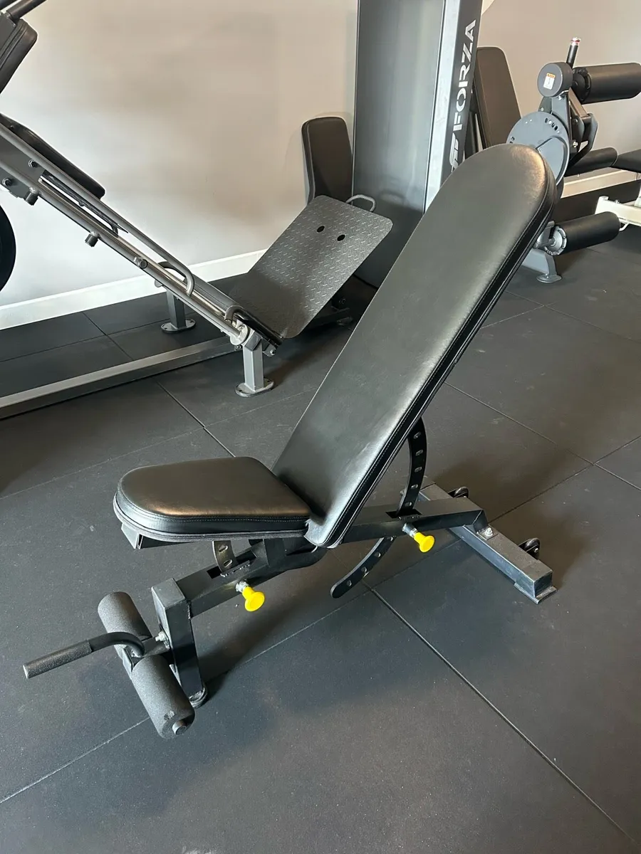 Squat Rack & Adjustable Bench - Image 4