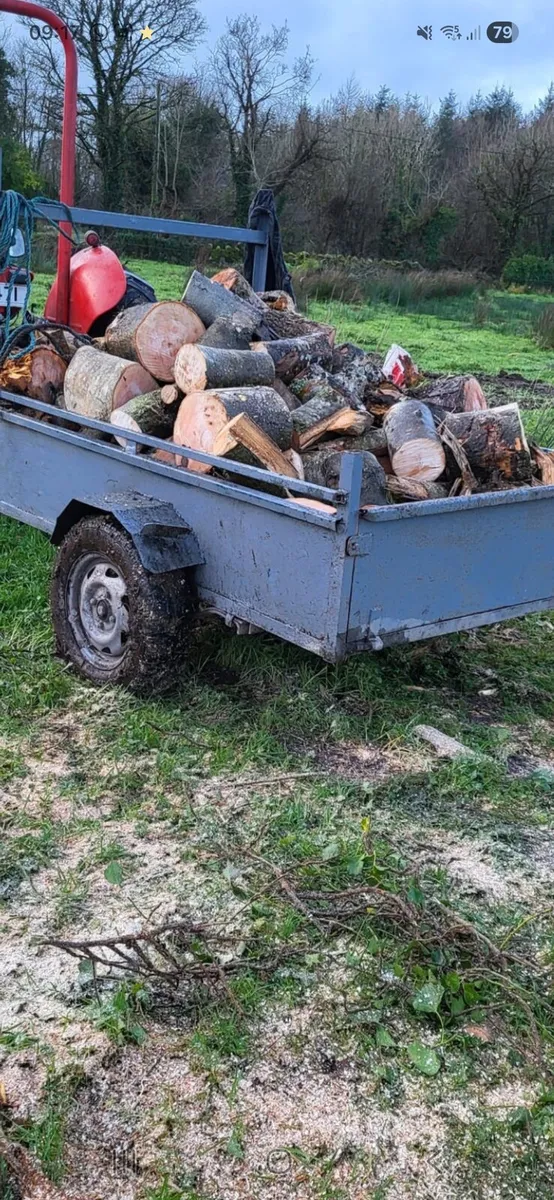 Firewood / timber - Image 1