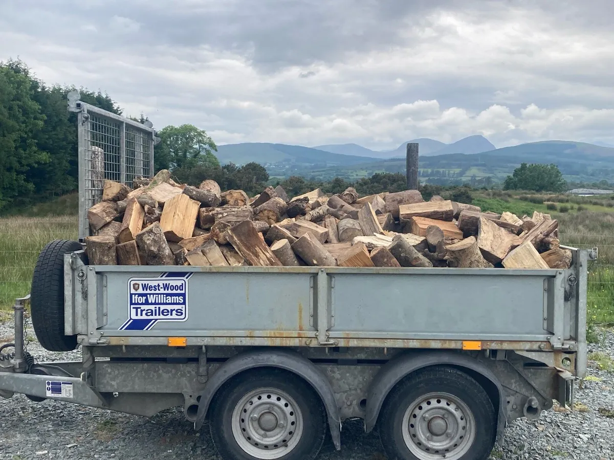Firewood - Image 1