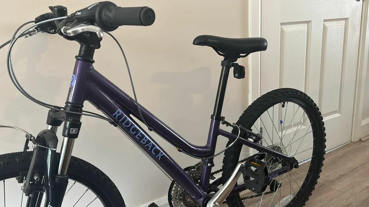 Ridgeback Bike 9yrs-13yrs - Image 2