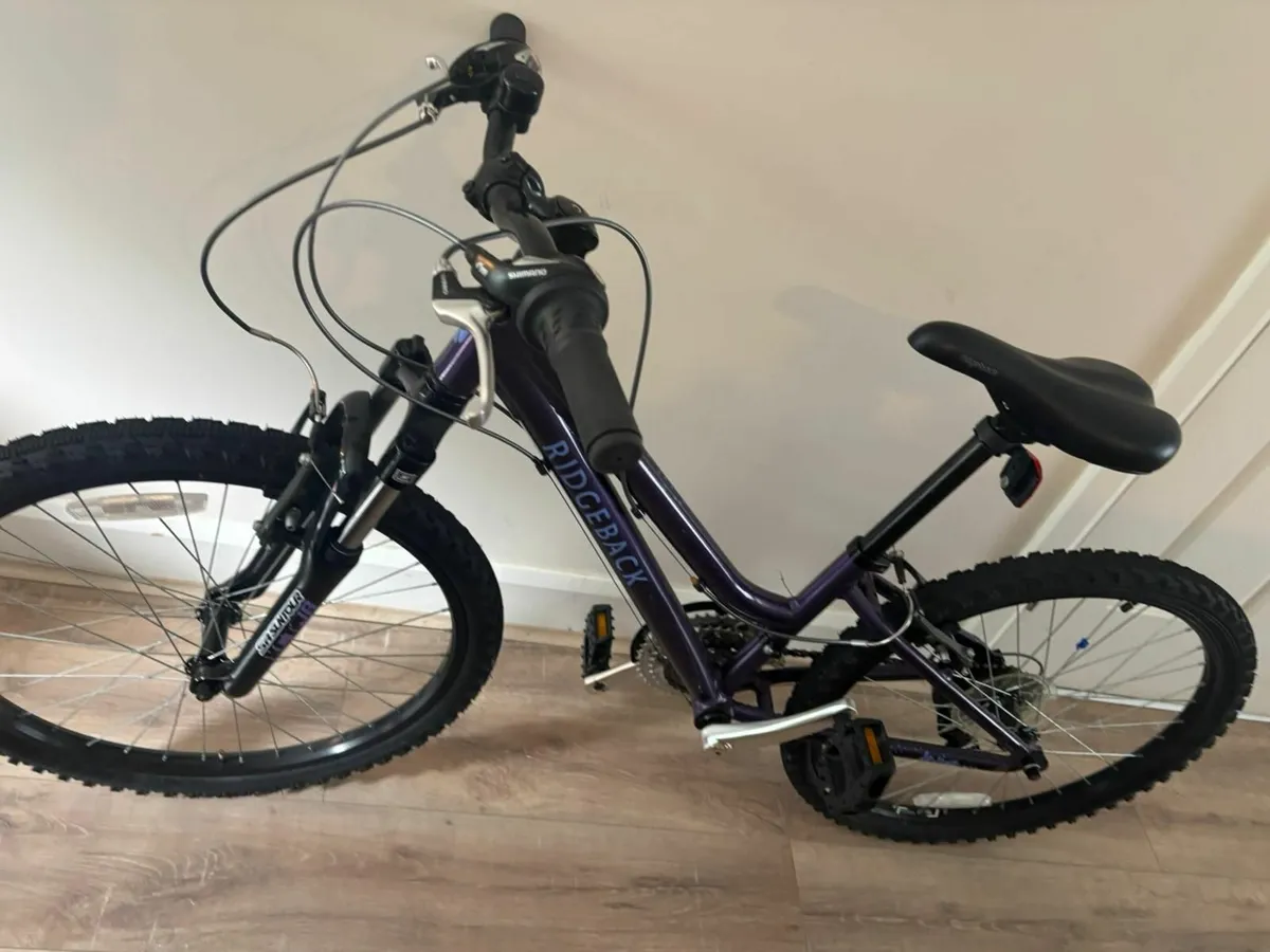 Ridgeback Bike 9yrs-13yrs - Image 4