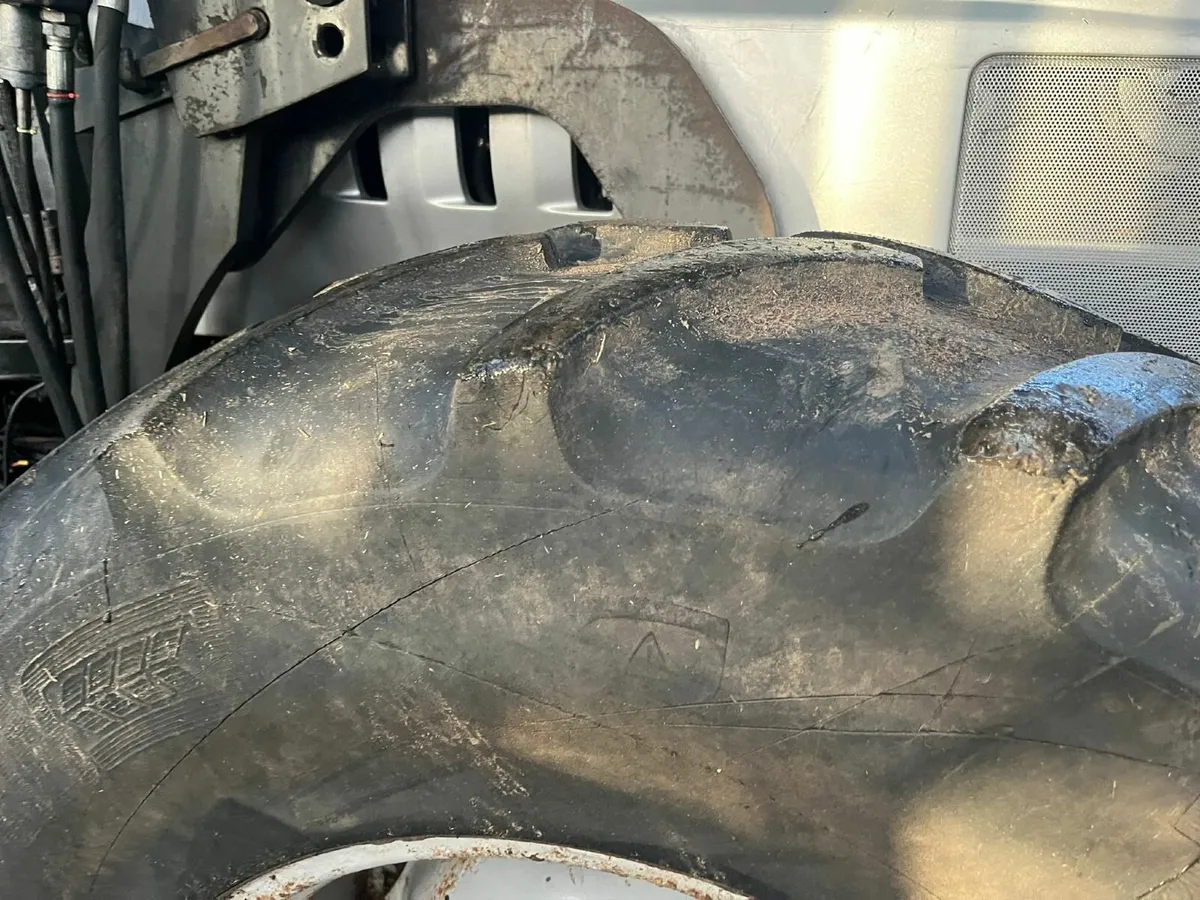 LAMBORGHINI Target 95 - Image 2