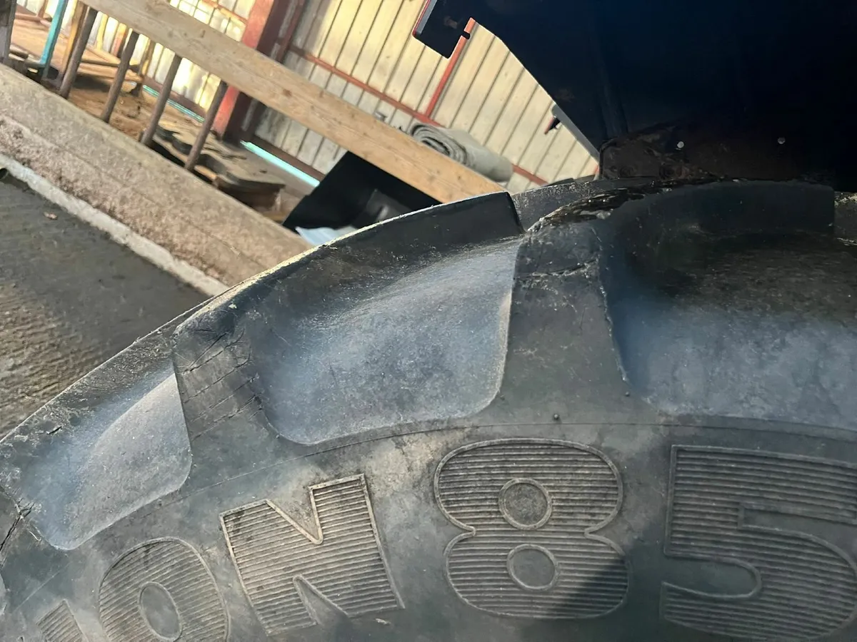 LAMBORGHINI Target 95 - Image 4