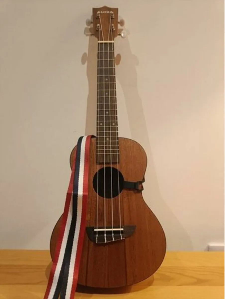 Ukulele Concert - 23 inches, Accessories Included - Image 2