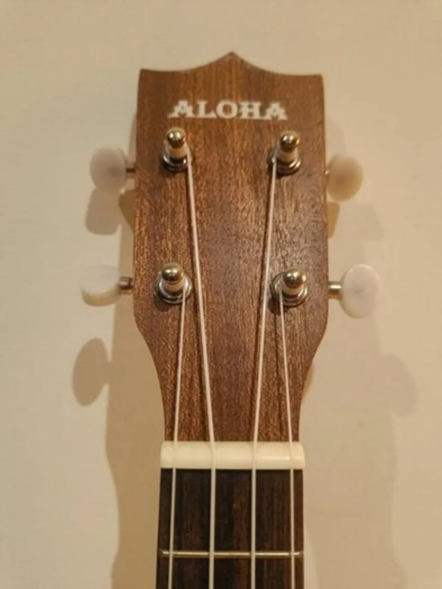 Ukulele Concert - 23 inches, Accessories Included - Image 3