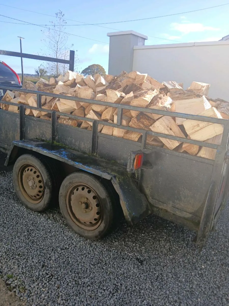firewood - Image 1