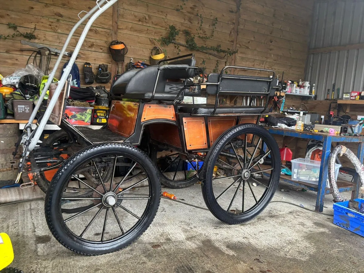 Gig and Harness - Image 1