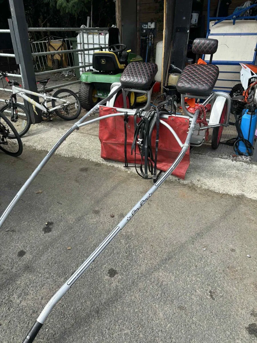 Ben Hur cart & Elite Harness - Image 1