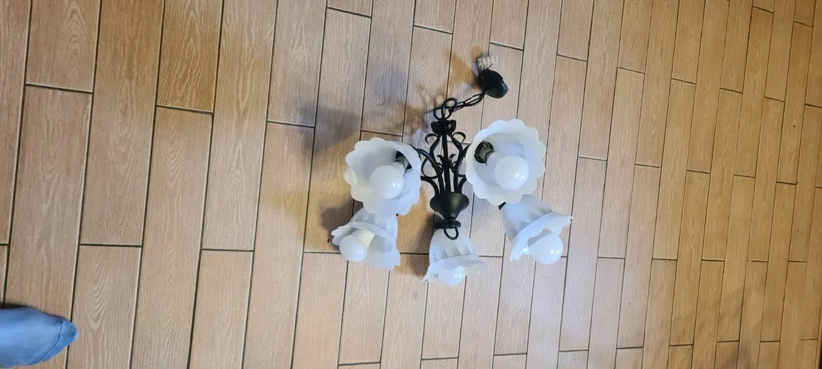 Vintage Ceiling light - Image 1