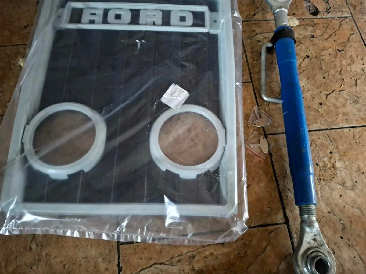 Ford Grill - Image 1