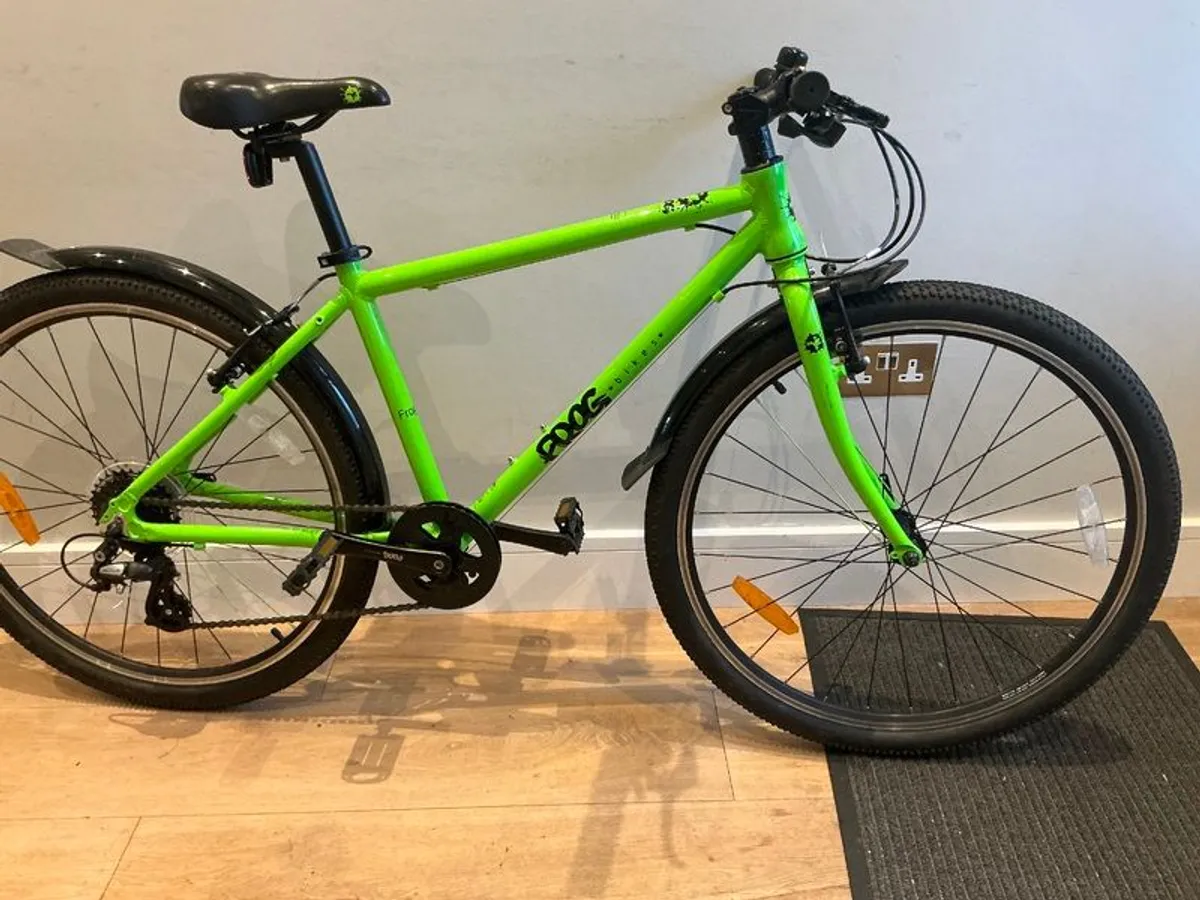 Frogs 73 Hybrid Kids Bike - Image 1