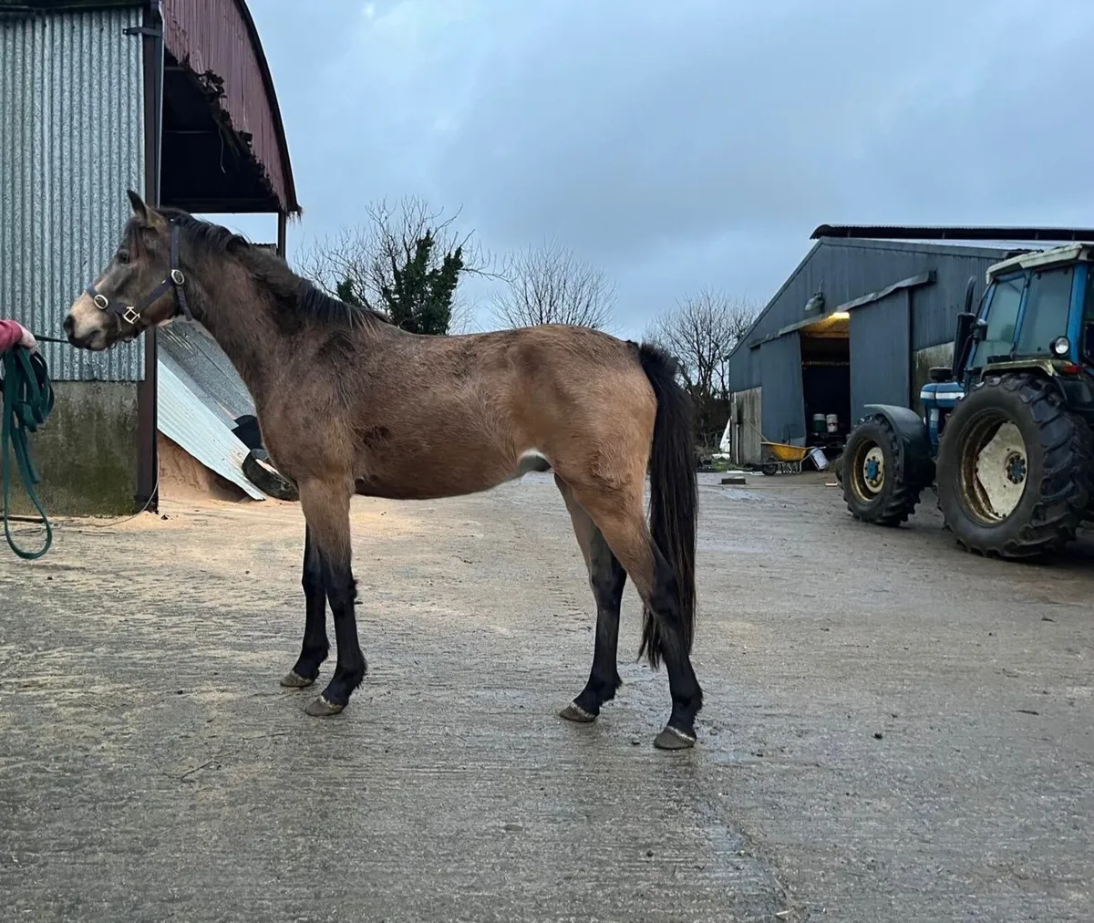 14-2’s for sale - Image 1