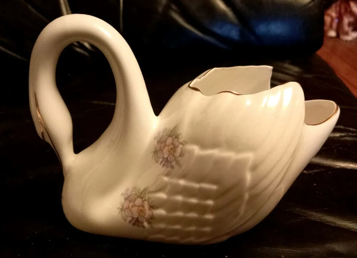 Royal Tara Swan - Image 1