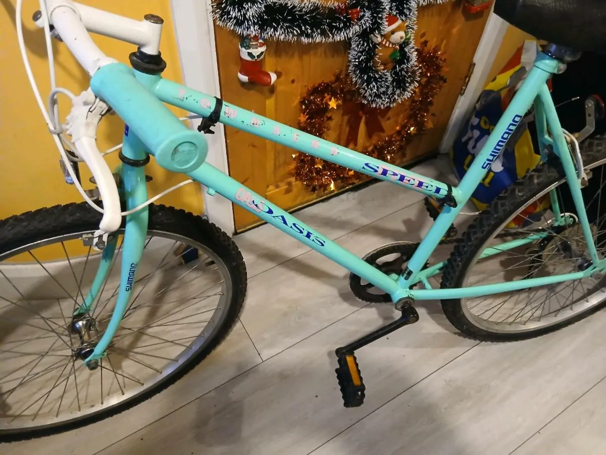 Townsend 5 speed Oasis Ladies Bike - Image 4