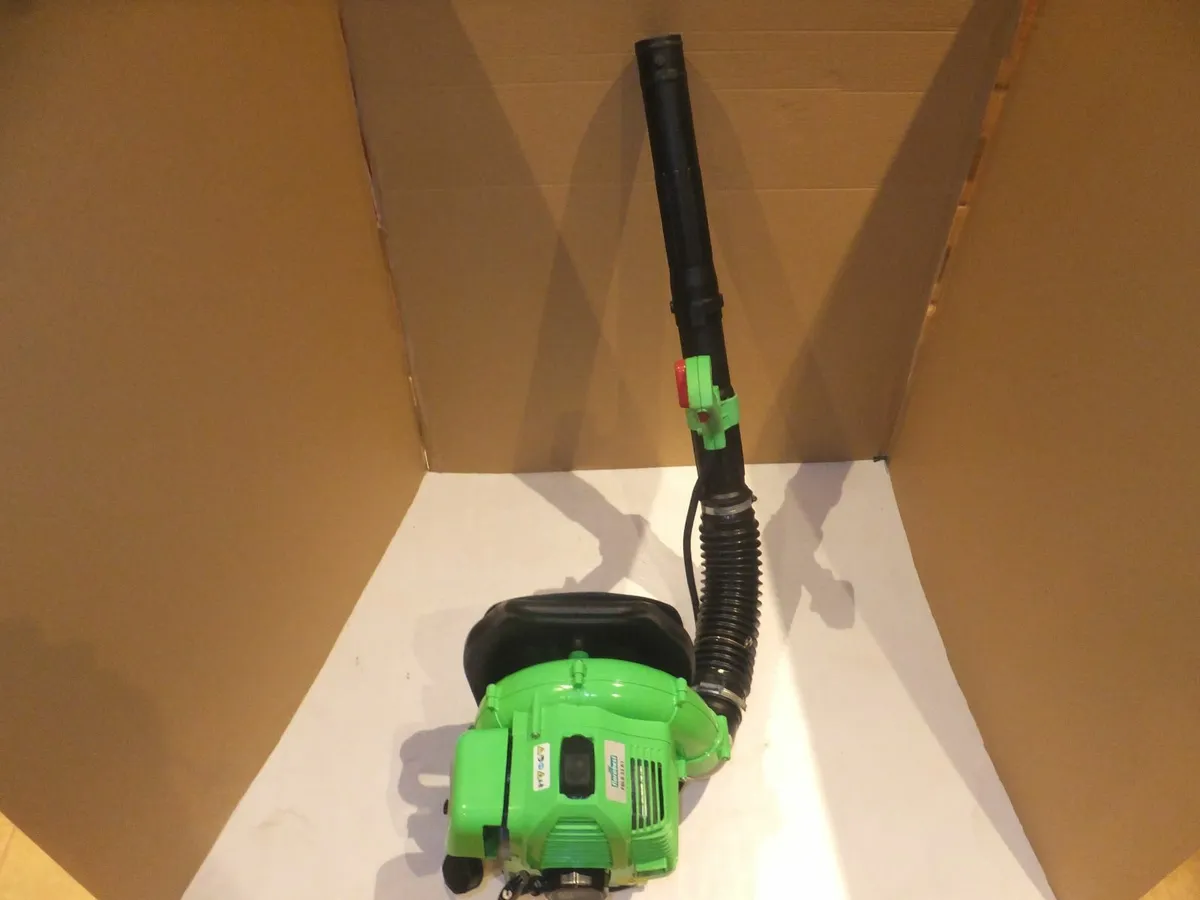 Petrol blower - Image 1