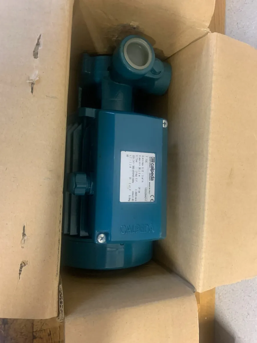 Calpeda Water Pump - Image 2