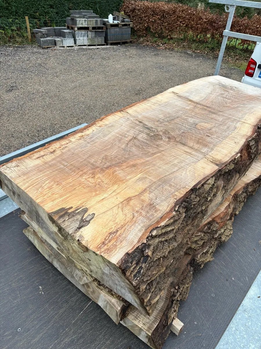 Timber slabs - Image 1