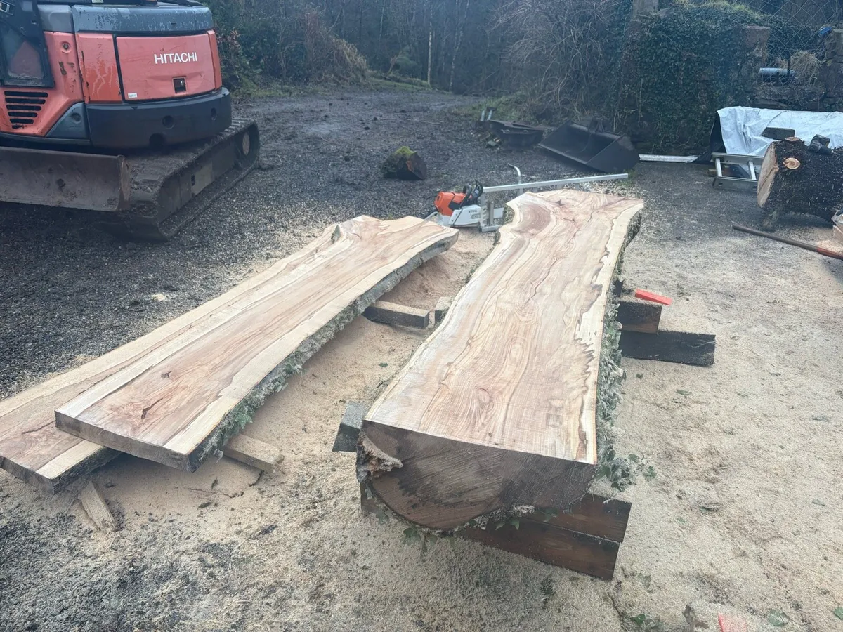 Timber slabs - Image 2