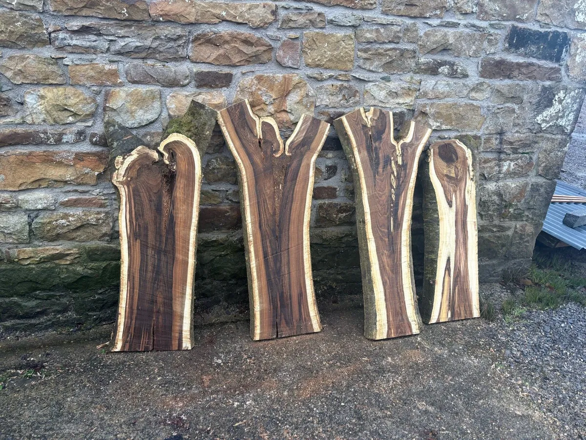 Timber slabs - Image 3