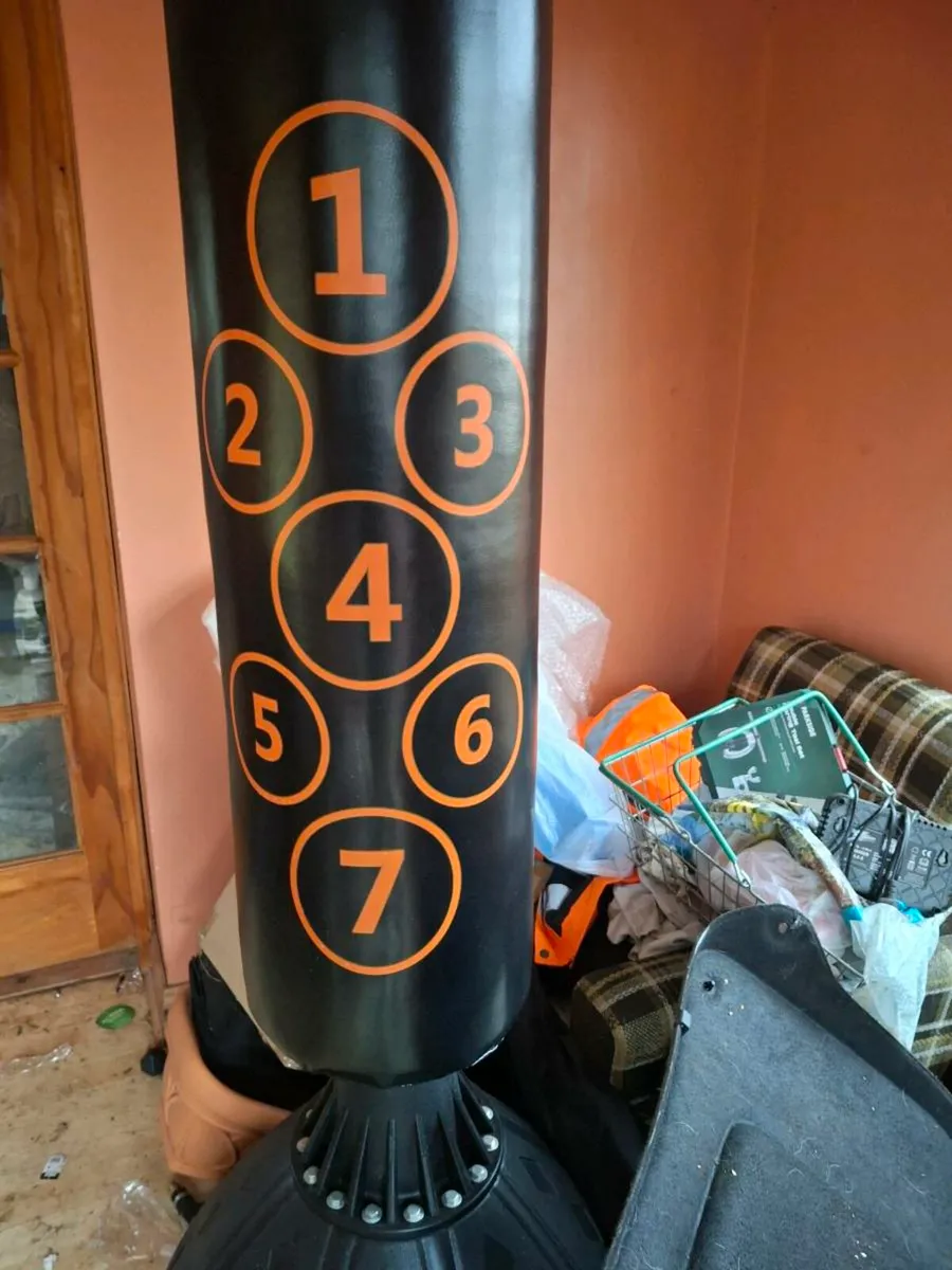 Punching Bag - Image 1