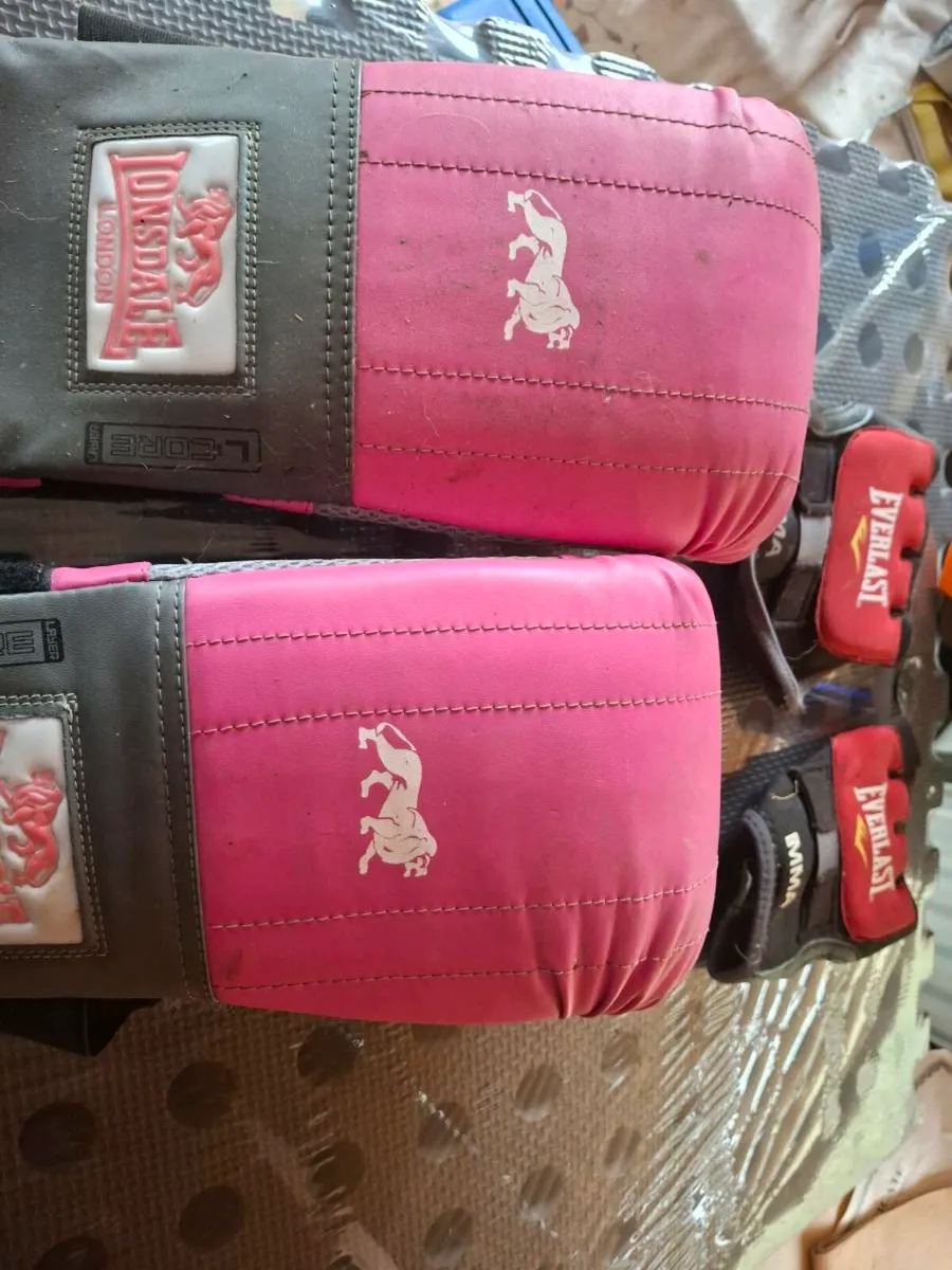 Punching Bag - Image 2