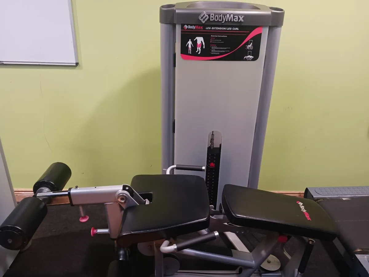 Leg Extension/ Leg Curl - Image 1