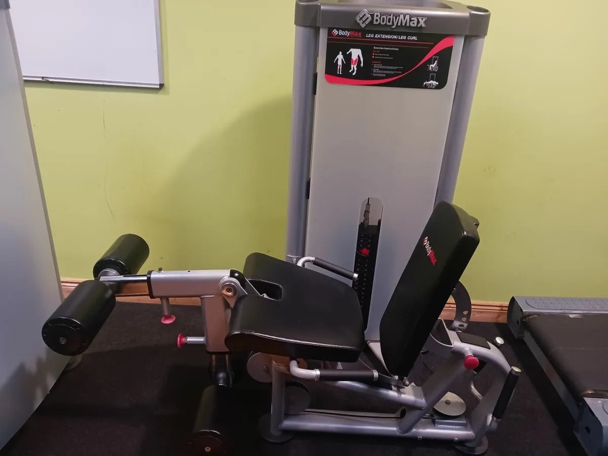Leg Extension/ Leg Curl - Image 2