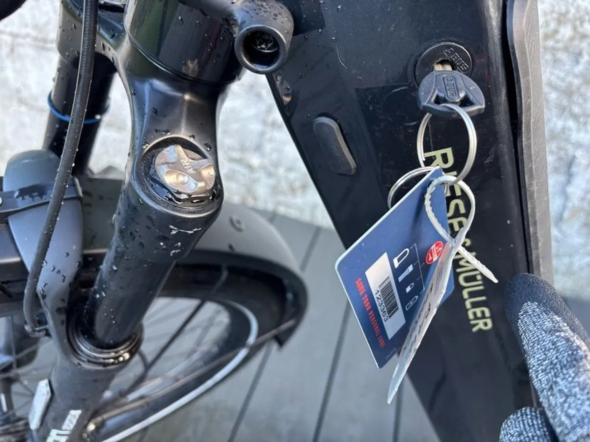 Electric Bike - Image 4