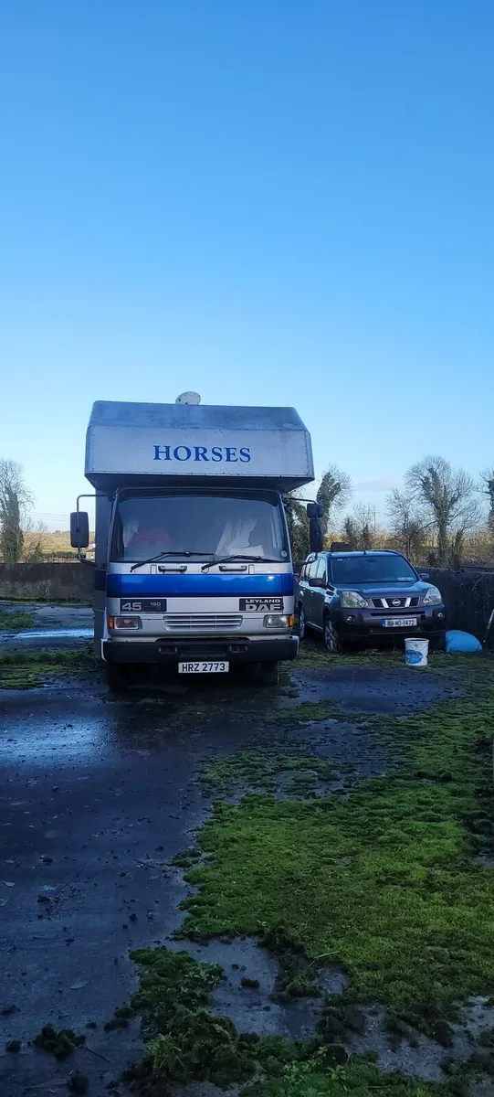 1999 Daf 45 150 Horsebox - Image 1