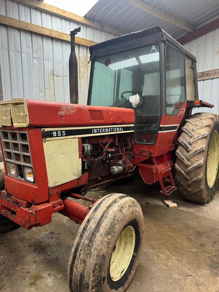International 955 - Image 1