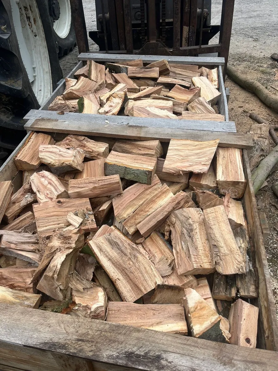 Firewood (hard wood) - Image 1