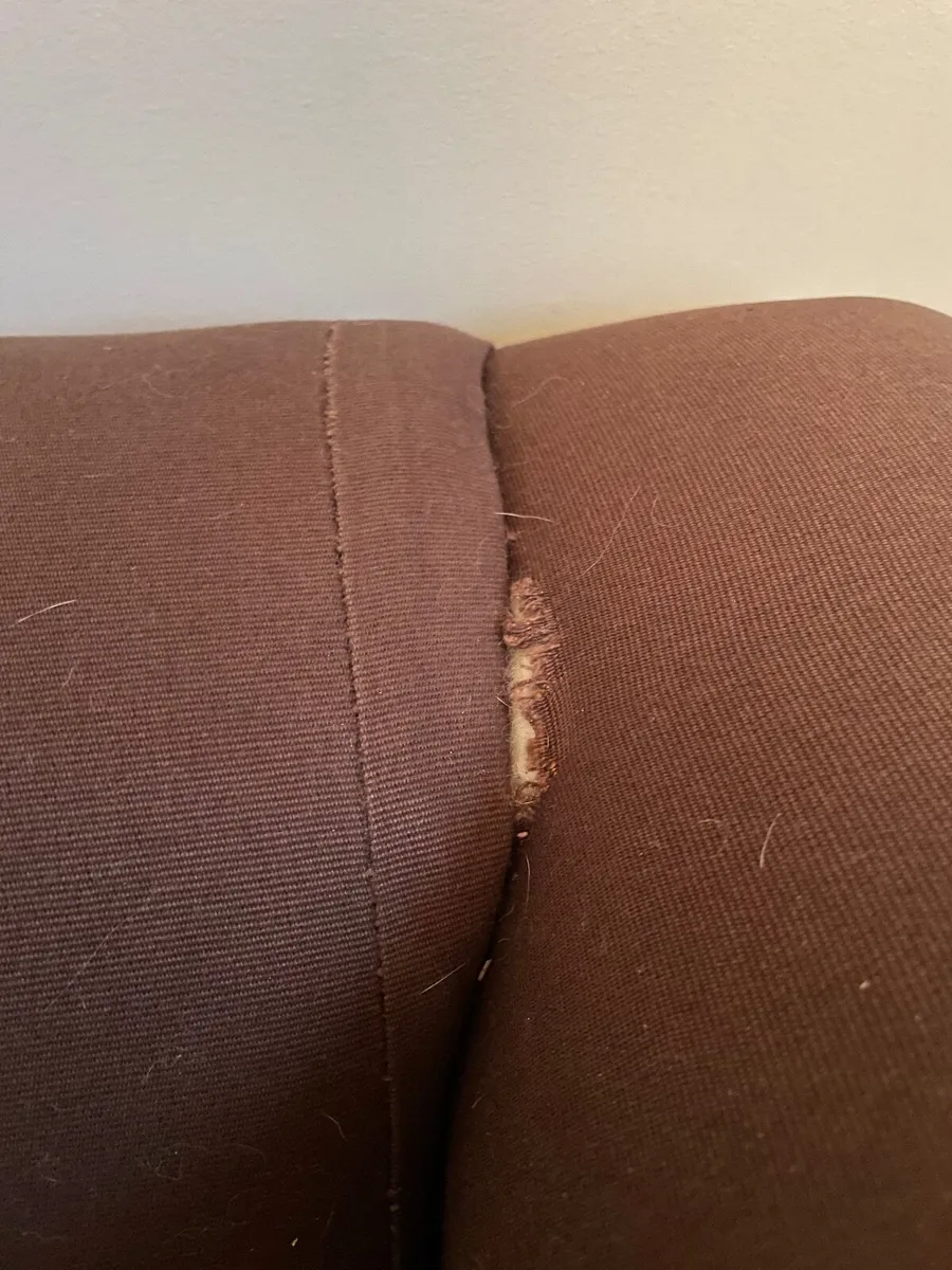 Free 3-seater sofa bed - Image 3