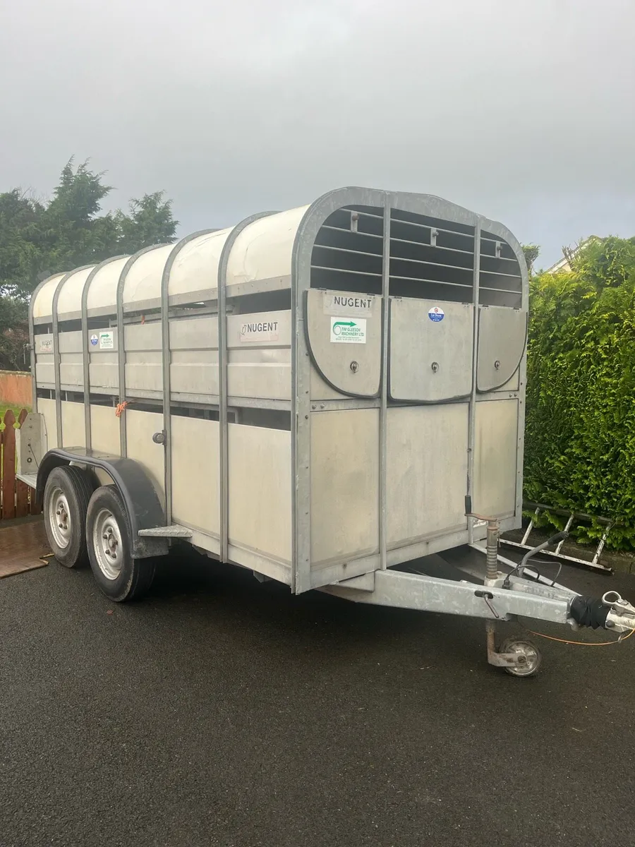 12ft Nugent Trailer - Image 1