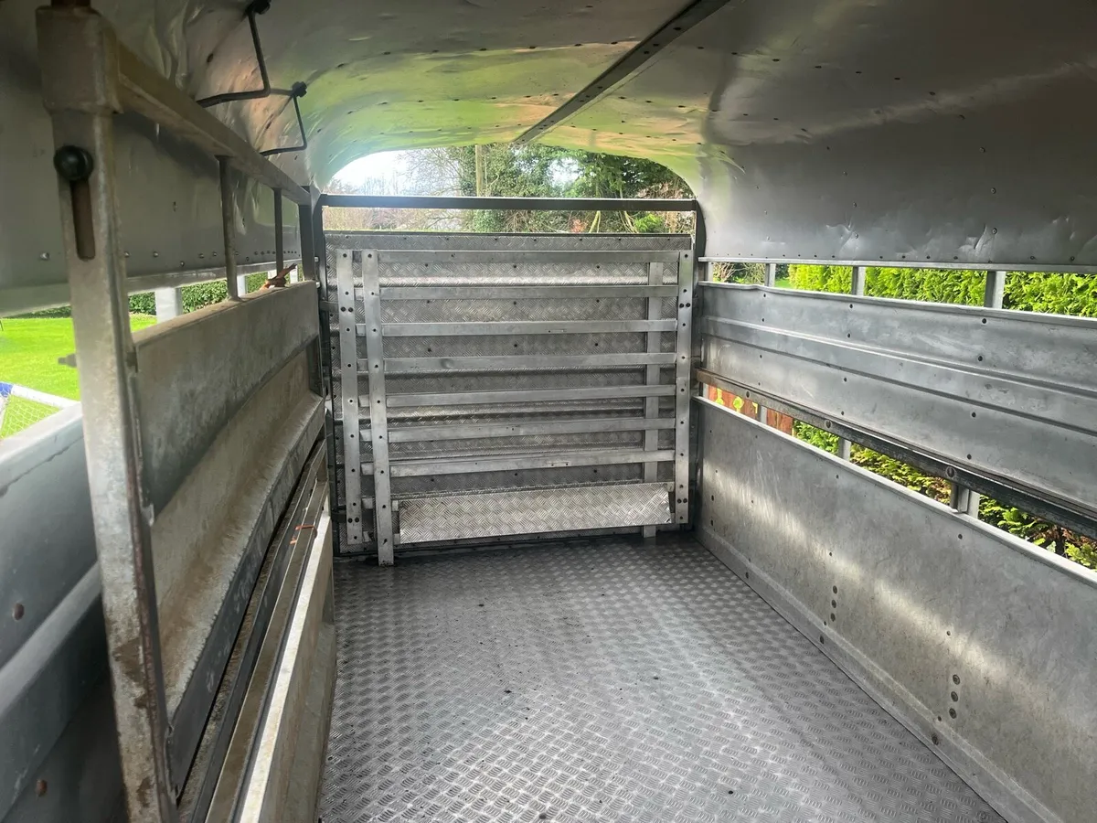 12ft Nugent Trailer - Image 2