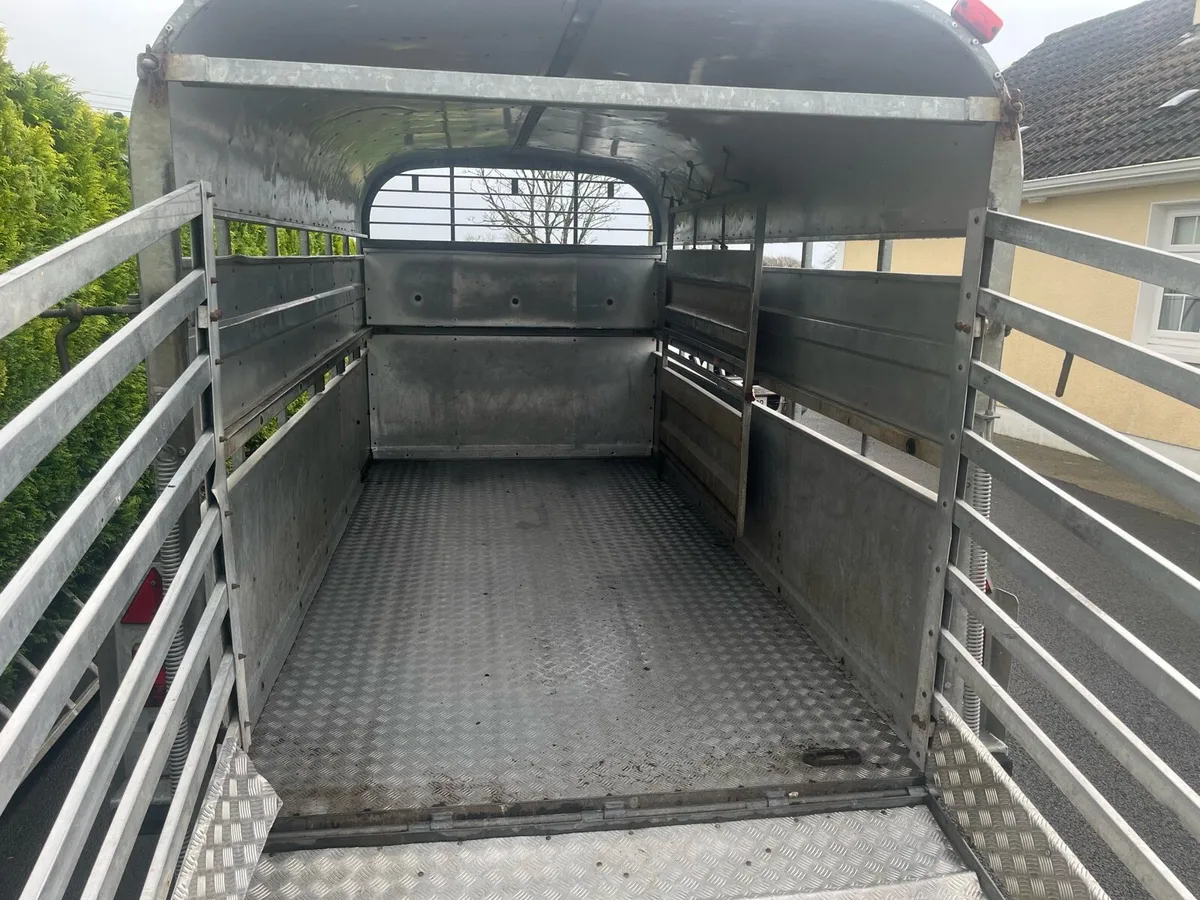 12ft Nugent Trailer - Image 3