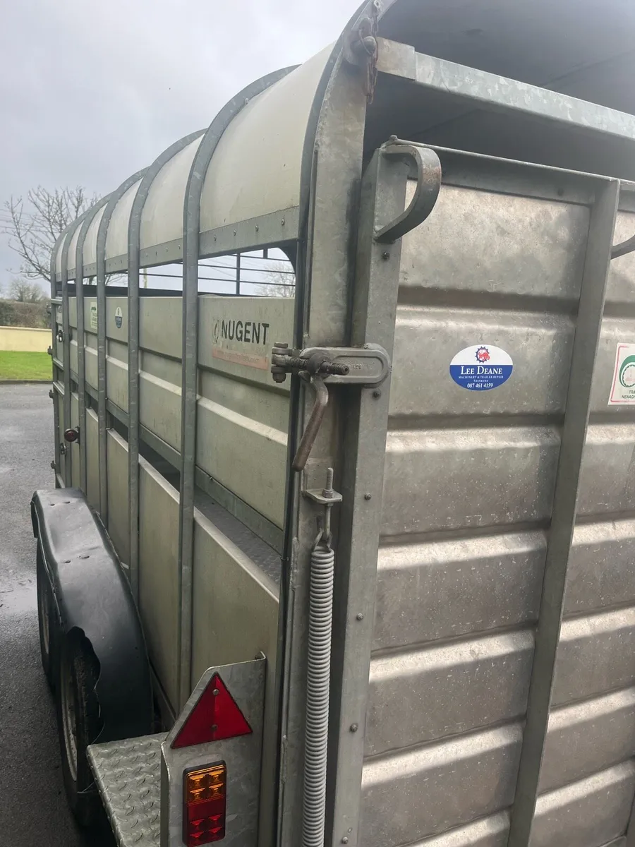 12ft Nugent Trailer - Image 4