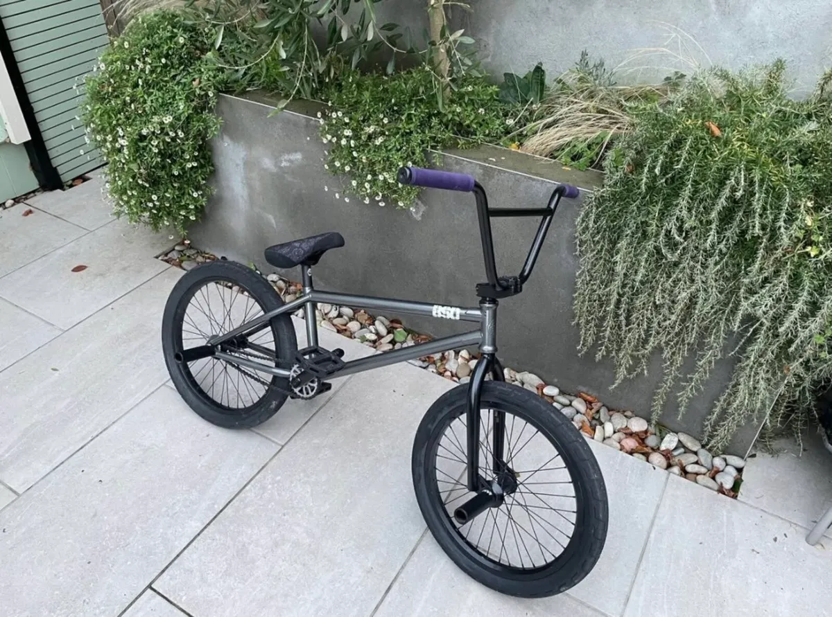Custom fresh built BMX - Image 2