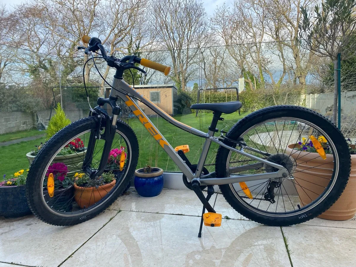 Trek Precaliber 24” Kids Bike / 8 speed - Image 1