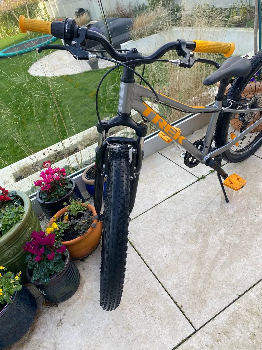 Trek Precaliber 24” Kids Bike / 8 speed - Image 3