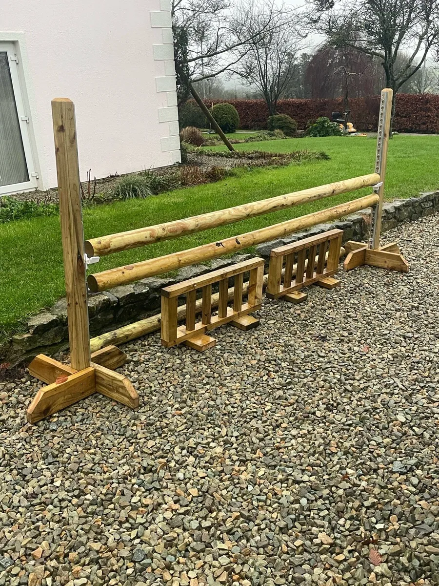 Show jumps - Image 4