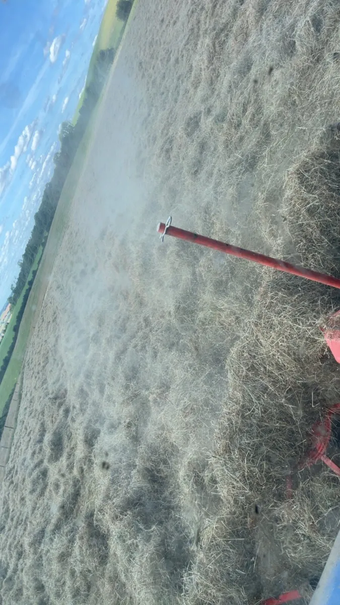 ⭐️Top quality Hay for sale⭐️ - Image 3
