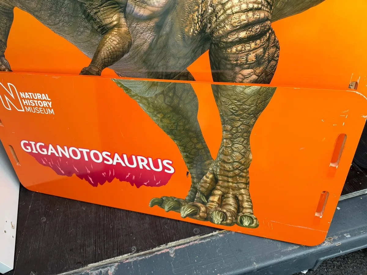 Kids bed frame - Image 4